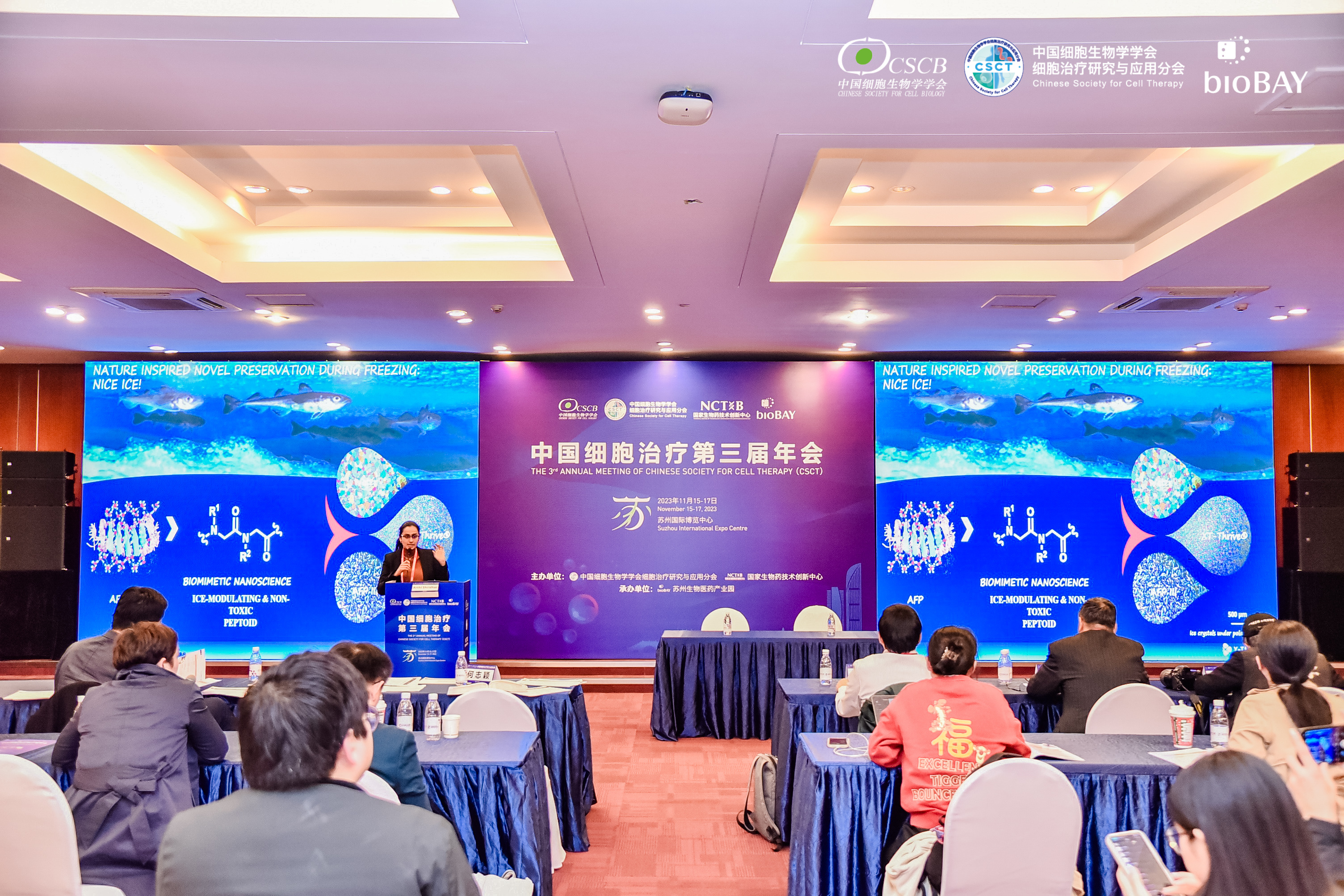 ��������VI-��Ʒ��ֵ������!