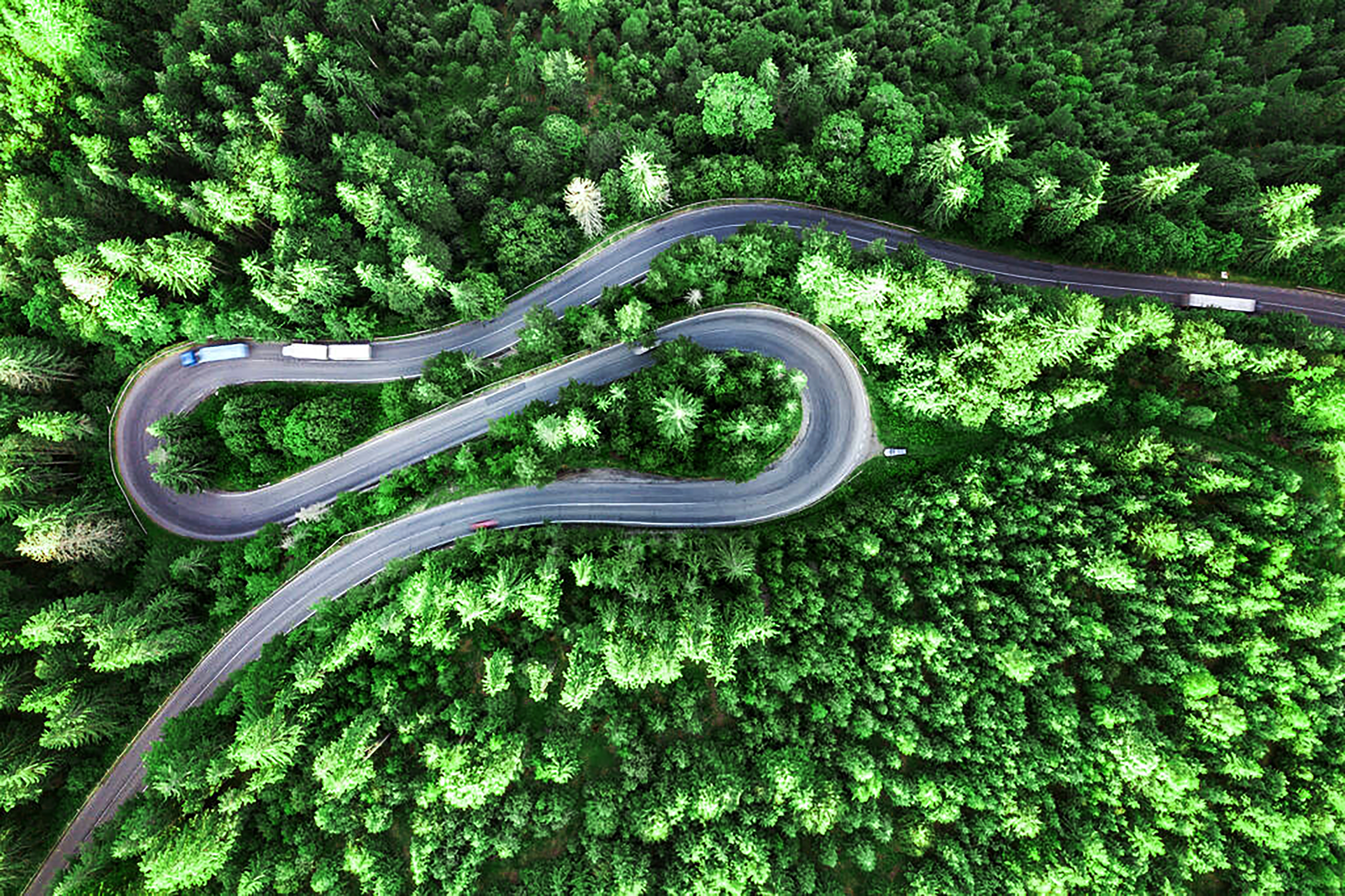 ��������VI-��Ʒ��ֵ������!